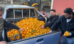 Projenin İlk Adımı: İmece Usulü Hasat