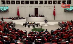 CHP'li Vekilden Meclis Eleştirisi