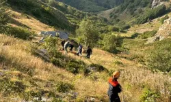 Yamaçtan Düşerek Mahsur Kalan İnek AFAD Ekiplerince Kurtarıldı
