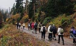 Sislerin Arasında Yürüyüş