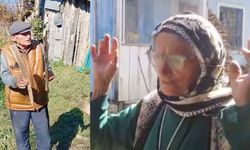 Şavşat’ta Ayı Kâbusu Büyüyor