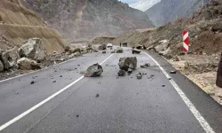 Artvin-Şavşat Karayolu'nda Heyelan