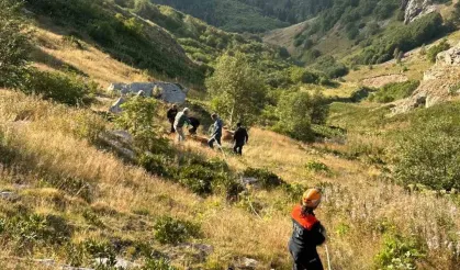 Yamaçtan Düşerek Mahsur Kalan İnek AFAD Ekiplerince Kurtarıldı