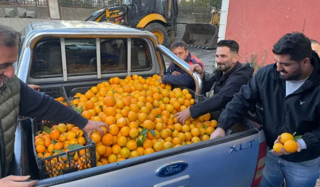 Projenin İlk Adımı: İmece Usulü Hasat