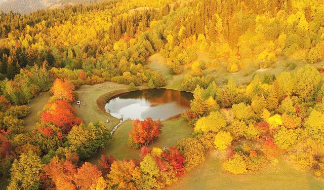 Sakin Şehir' Şavşat'ta Sonbahar Rengarenk