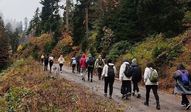 Sislerin Arasında Yürüyüş
