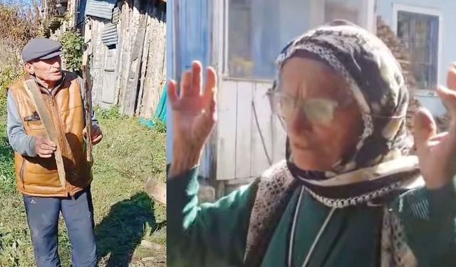 Şavşat’ta Ayı Kâbusu Büyüyor