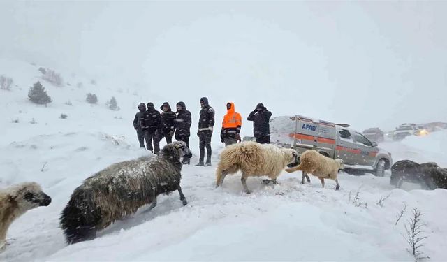 Çığ Bölgesinde Arama Kurtarma Çalışmaları Devam Ediyor