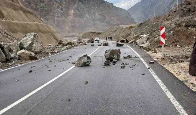 Artvin-Şavşat Karayolu'nda Heyelan