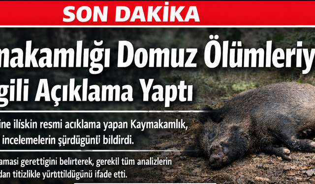 Şavşat’taki Domuz Ölümleriyle İlgili Çalışmalar Hassasiyetle Sürdürülüyor