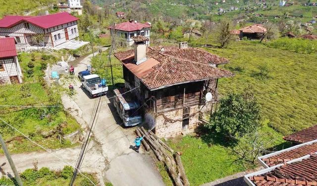 Kahverengi Kokarcaya Karşı Kışlaklardan Çıkış Öncesi İlaçlama Hız Kazandı