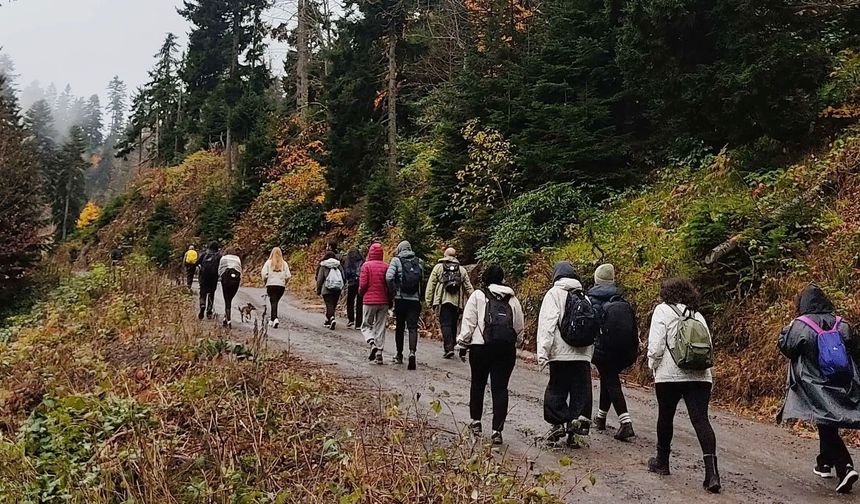 Sislerin Arasında Yürüyüş