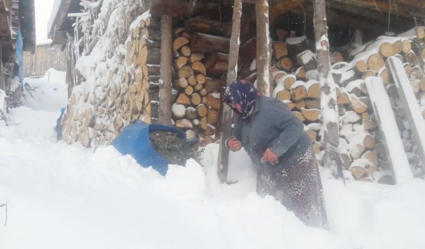 Kar Esareti Altındaki Bazgiret’te Yaşlılar Hayata Tutunuyor