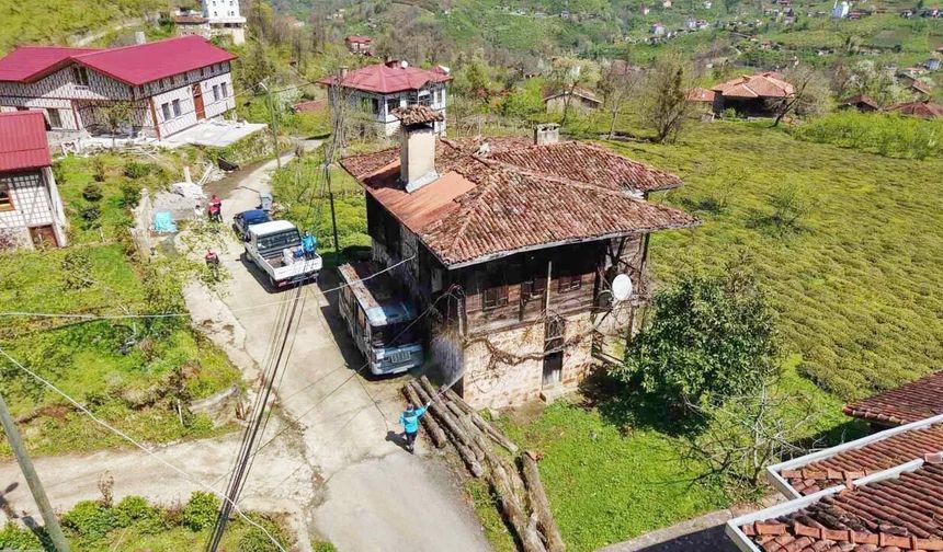 Kahverengi Kokarcaya Karşı Kışlaklardan Çıkış Öncesi İlaçlama Hız Kazandı